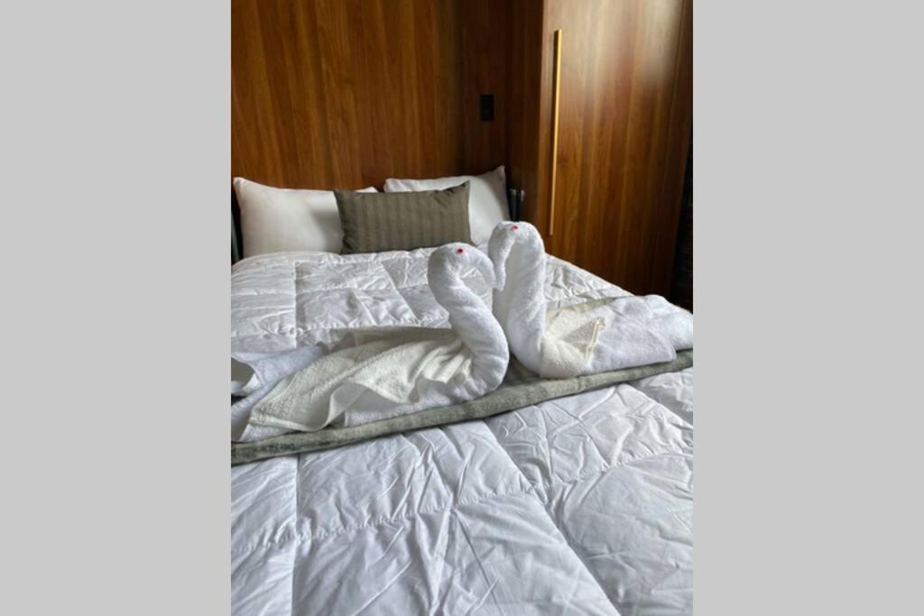 3E-Cozy! Micro Apartment Minutes From Shadyside, Sleeps 1 Pittsburgh Exteriör bild